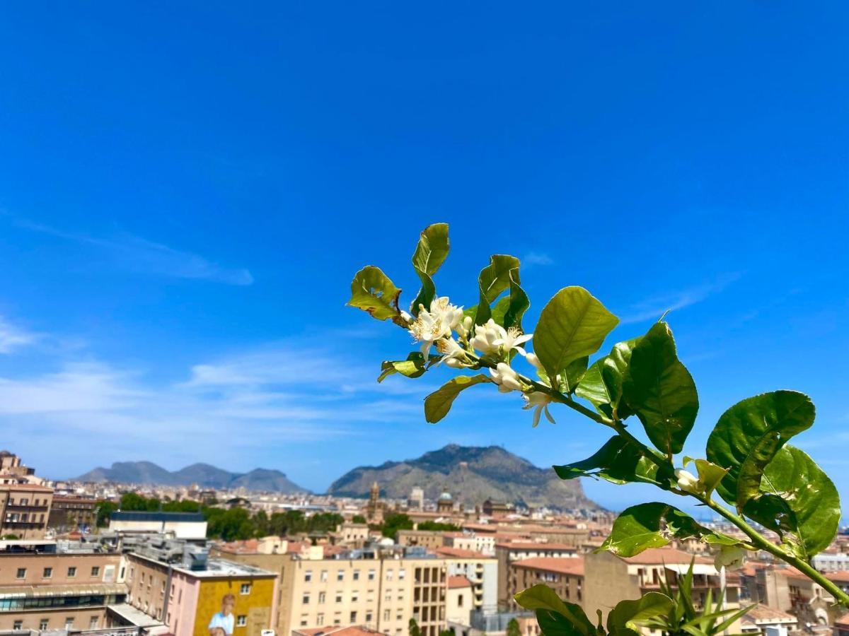 Le Albe di Sicilia Bed and Breakfast Palermo Esterno foto